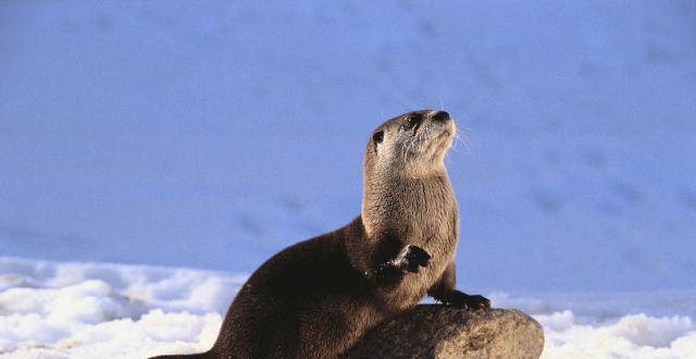 山东省地方金融监督管理局:警惕以投资充电桩名义为名实施非法集资