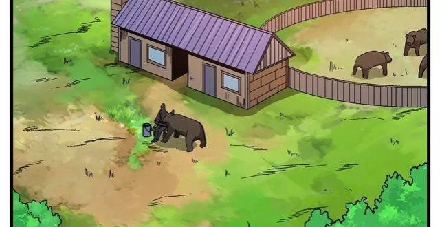 【人性漫画】《残忍的人类》被人类洗脑的小熊!