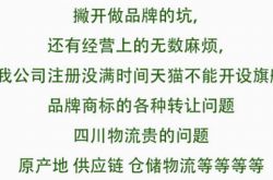 LiZiqiとWeiNianの事件：それは大きなビジネスの冒険ですか、それとも田舎の生活の反撃ですか？
