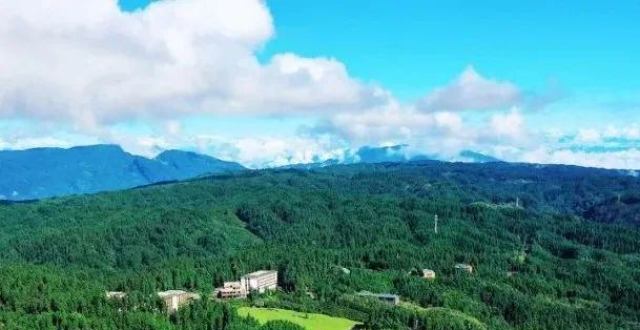 中国林场协会：国有林场发展森林康养前景广阔_腾讯新闻