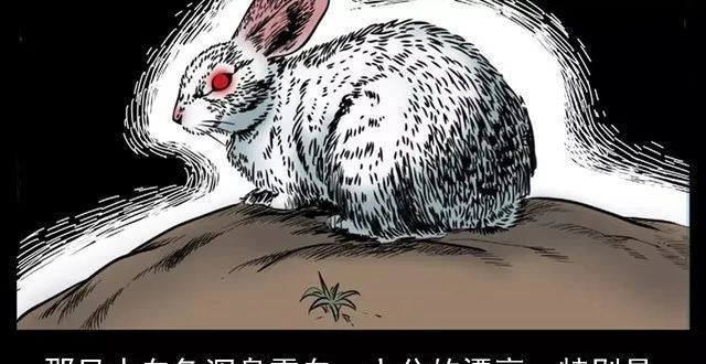 民间故事恐怖漫画《兔妖》