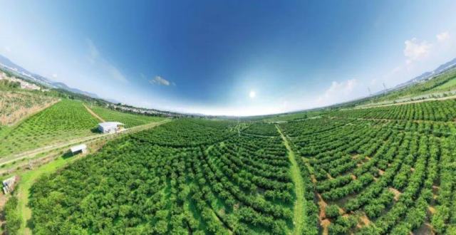 全景VR上线！720°带你“云”游广东省现代农业产业园_腾讯新闻