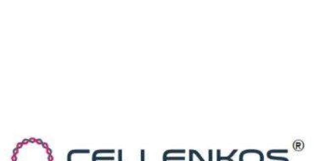 【首发】Cellenkos获1500万美元A轮融资，加速开发细胞转化疗法_腾讯新闻