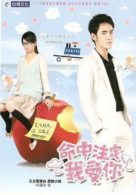 命中注定我爱你台版