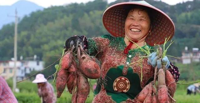 非遗“豸”连城丨连城县省级非遗项目连载（二）连城地瓜干制作技艺_腾讯新闻