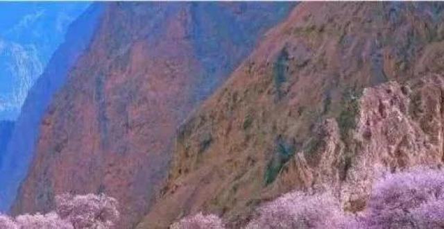 帕米尔高原塔莎古道考察_腾讯新闻
