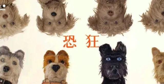 恐狂一代：猫和狗都没疯，人疯了_腾讯新闻