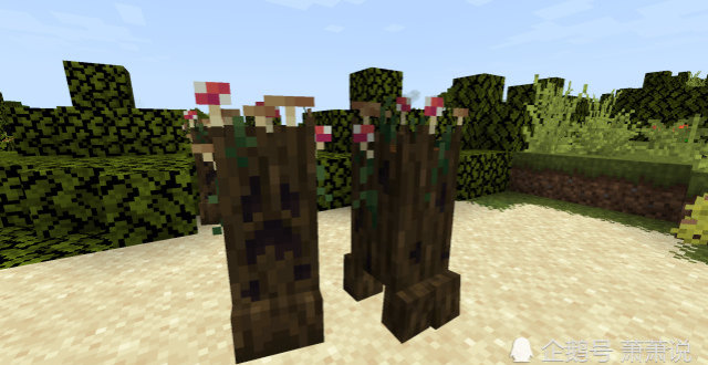 我的世界:多种多样的苦力帕模组creeper overhaul