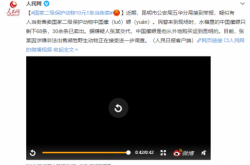 全国の第2レベルの保護された動物は、1個あたり10元で路上で販売されています！見かけたらすぐに報告してください