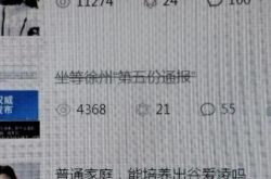 豊県の8人の女の子：ついに「第5報」を待っています