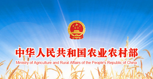 森绘梨佳独家美妆心机 24h不断电led发光妆