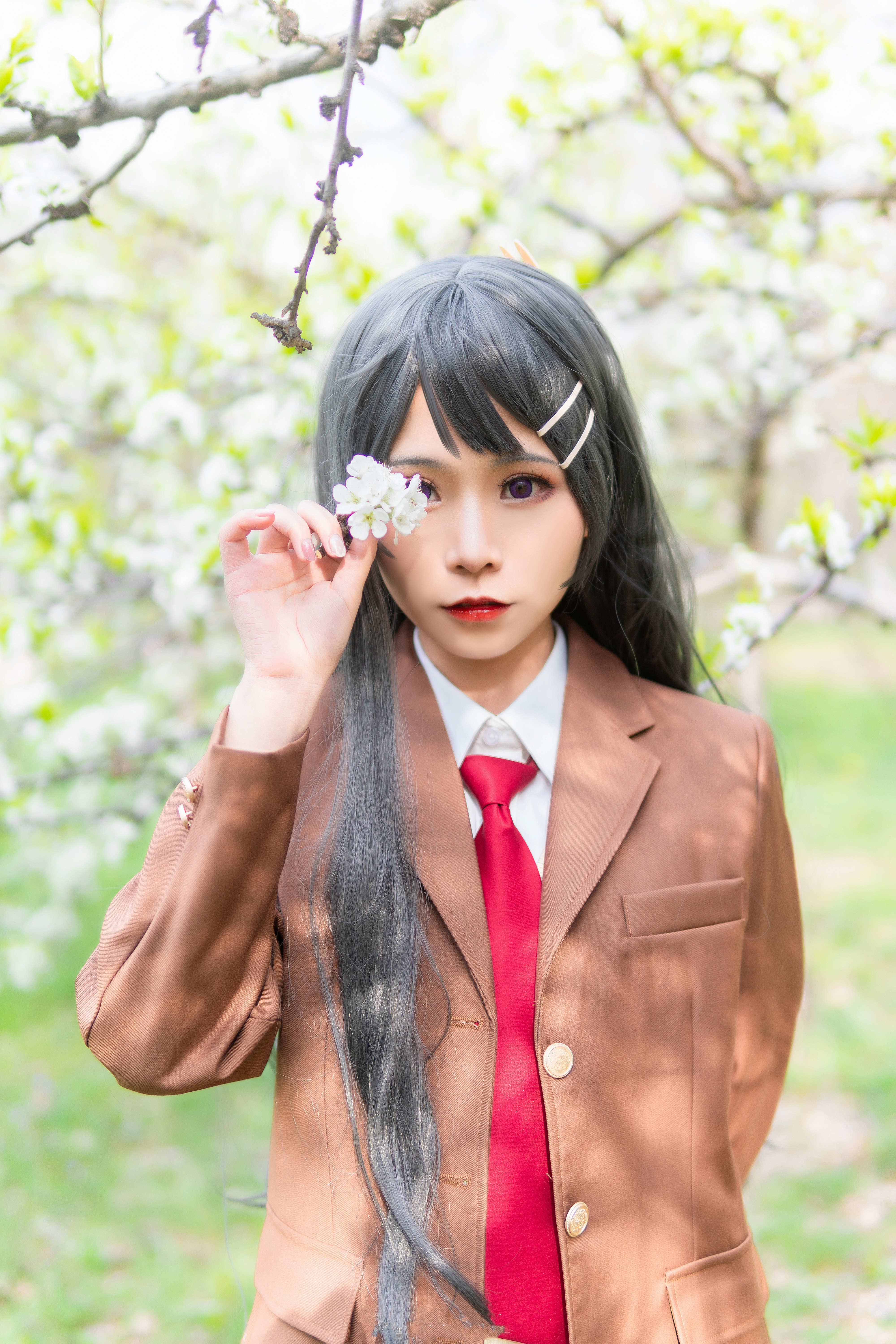 洛城雪Yuki青春期猪头少年不会梦到兔女郎学姐樱岛麻衣CosPlay8