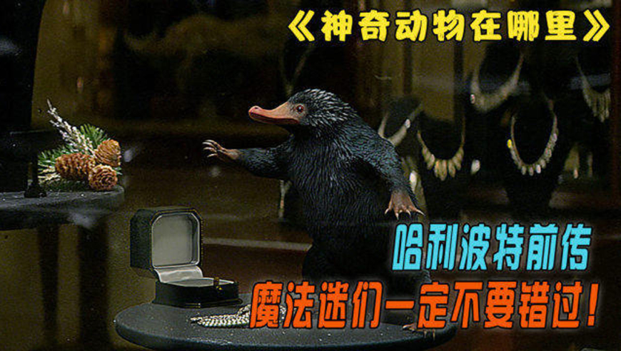 又萌又贱的贪财吞金兽,肚子能塞下银行整个金库!