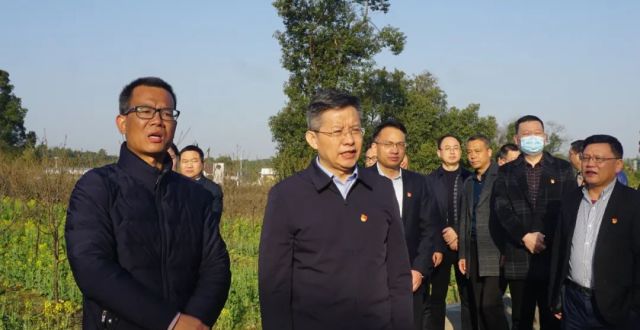 瞿海：全力抓好粮食生产 全面推进乡村振兴_腾讯新闻