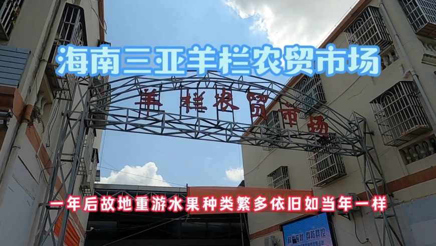 海南三亚羊栏农贸市场看水果,种类繁多可以水果自由