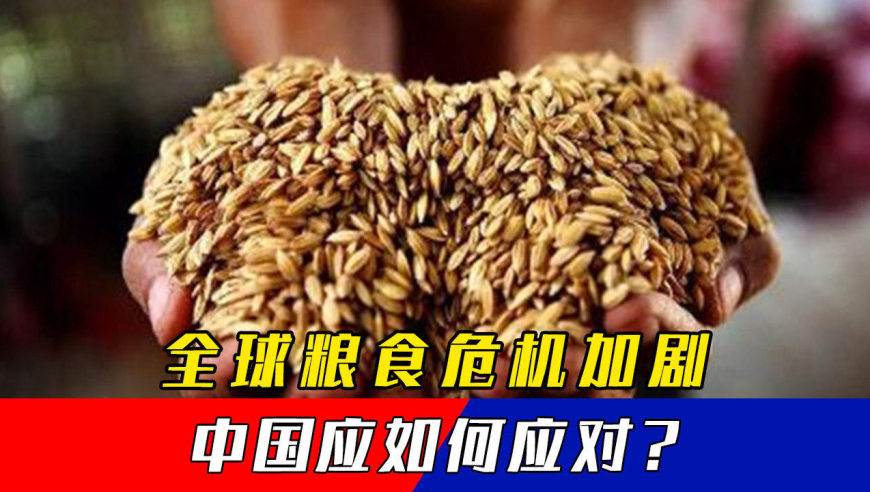 情况不妙!联合国发出警告,多国粮食危机加剧,中国应如何应对?