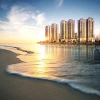 佛系少女的日常