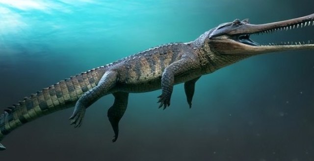 hello kitty 的男朋友丹尼尔