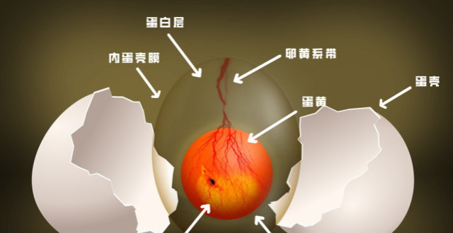大婊哥爱分享最新文章