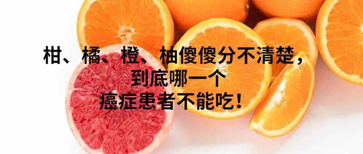 蘆柑和橙子哪個維c高？獼猴桃與橙子哪個維c多