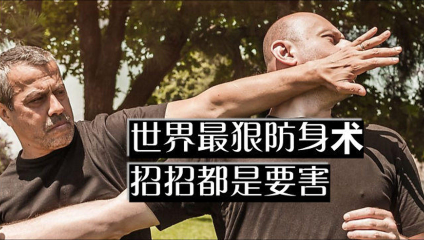 眨眼之间就能干掉对手,这就是被誉为世界最狠的防身术!