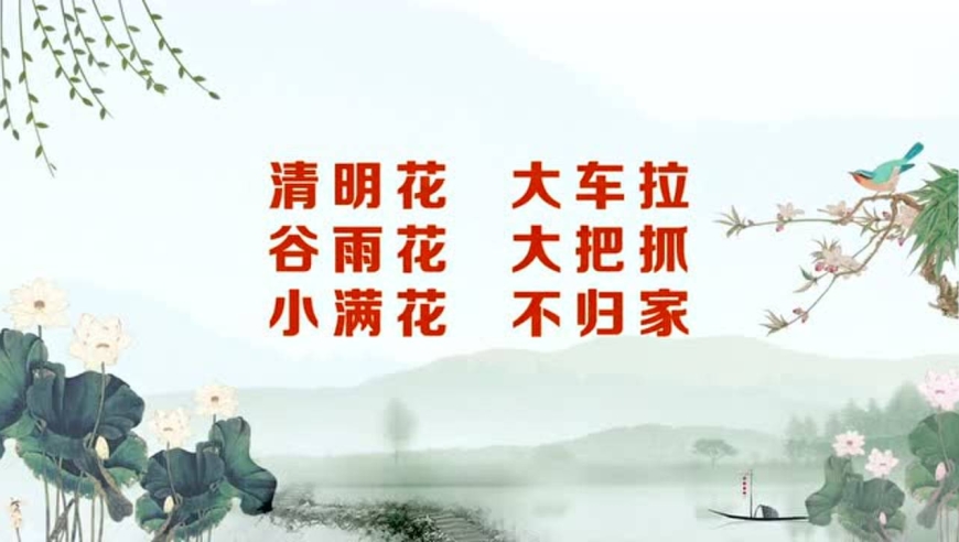 清明的农谚你知道多少呢?