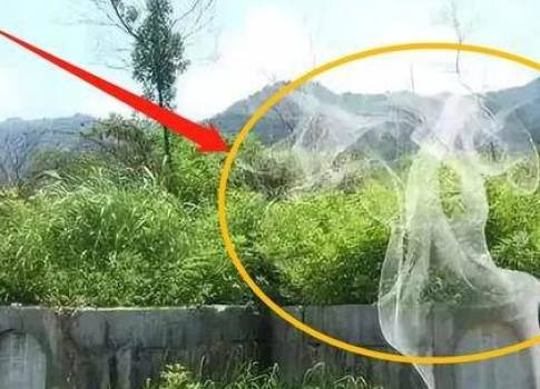 湖北老农家里祖坟突冒青烟,专家赶到现场勘查后,下令封锁整座山