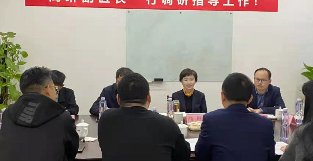 渝中区政府副区长高琳调研区文旅产业发展促进会_腾讯新闻