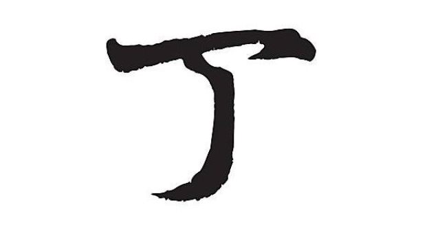 白鸽的日常生活最新文章