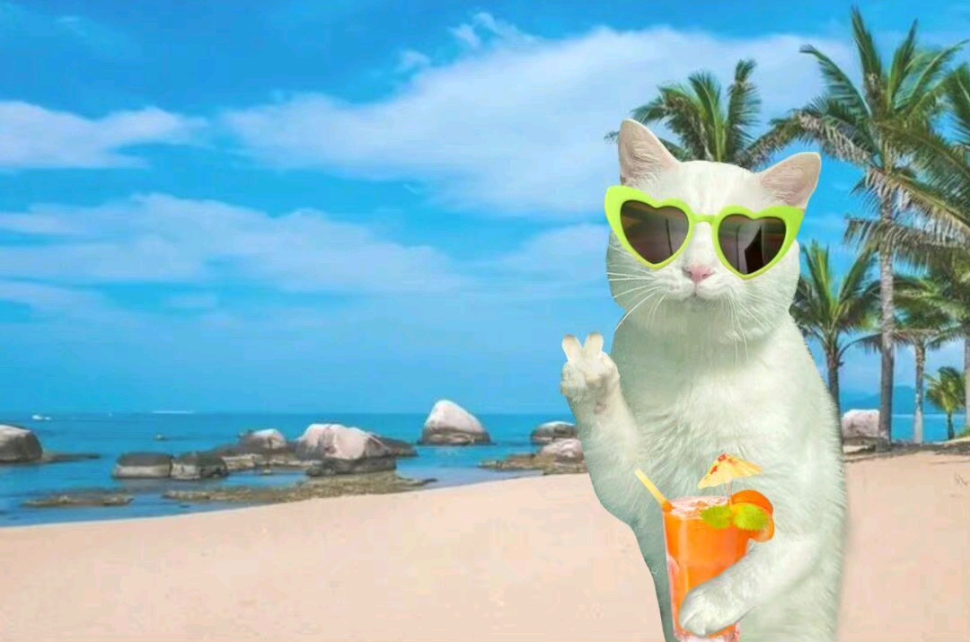 上网课必备背景图