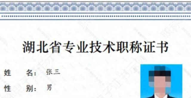 清流新闻网9分钟前2022年上海市普通高校体育类专业统一考试延期上海