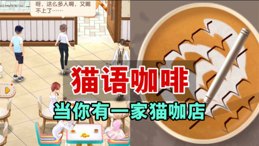 猫语咖啡:经营一家这样的猫咖店,一定很有趣吧!