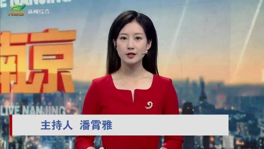 南京新闻主持人潘霄雅图片