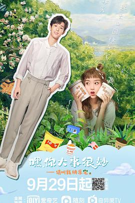 【直链】电视剧《嘿！你大事很妙（2021）》 - 1080P/720P高清HD下载