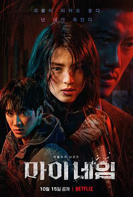 【直链】电视剧《我的名字（2021）》 - 1080P/720P高清HD下载
