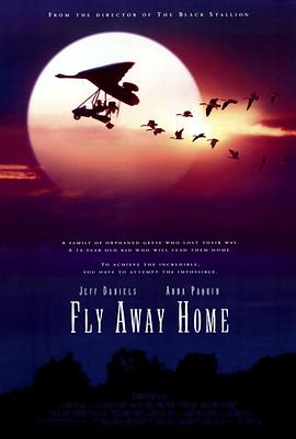 【直链】电影《伴你高飞（1996）》 - 1080P/720P高清HD下载