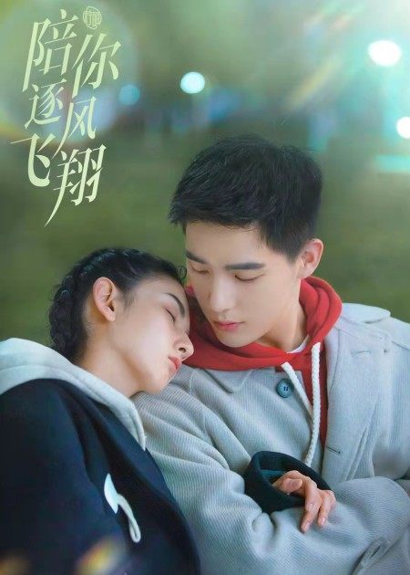 【直链】电视剧《陪你逐风飞翔（2021）》 - 1080P/720P高清HD下载