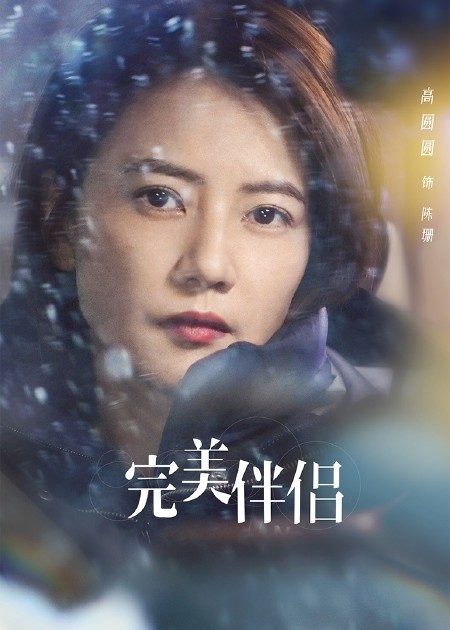 【直链】电视剧《完美伴侣（2022）》 - 1080P/720P高清HD下载
