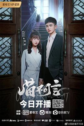【直链】电视剧《喵不可言（2022）》 - 1080P/720P高清HD下载