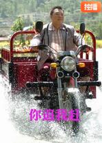 【直链】电影《你追我赶（2010）》 - 1080P/720P高清HD下载