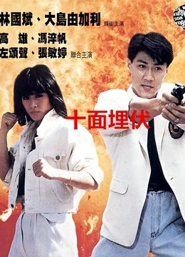 【直链】电影《十面埋伏（1989）》 - 1080P/720P高清HD下载