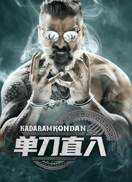 【直链】电影《单刀直入（2019）》 - 1080P/720P高清HD下载