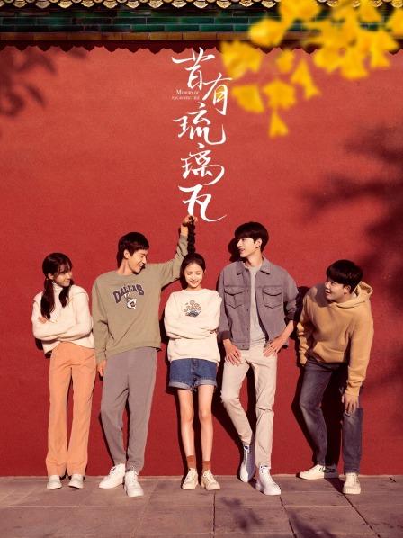 【直链】电视剧《昔有琉璃瓦（2022）》 - 1080P/720P高清HD下载