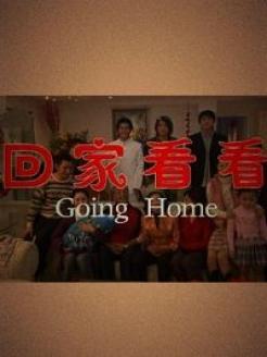 【直链】电影《回家看看（2006）》 - 1080P/720P高清HD下载