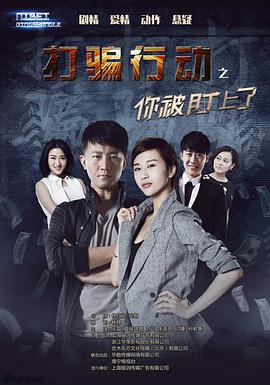 【直链】电视剧《打骗行动之你被盯上了（2016）》 - 1080P/720P高清HD下载