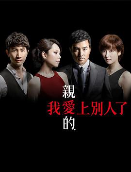 【直链】电视剧《亲爱的，我爱上别人了（2013）》 - 1080P/720P高清HD下载