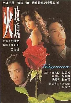 【直链】电视剧《火玫瑰（1992）》 - 1080P/720P高清HD下载