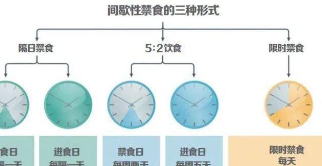 间歇性禁食到底能减肥吗？更适合哪些人群？来看看这项荟萃分析吧！_腾讯新闻