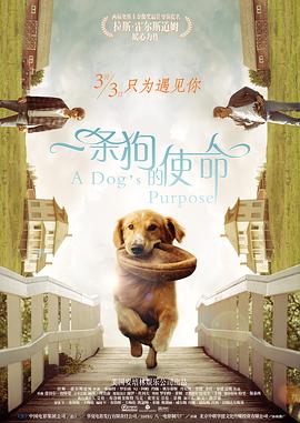 【直链】电影《一条狗的使命（2017）》 - 1080P/720P高清HD下载