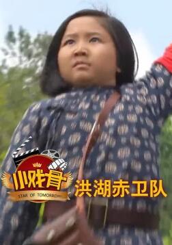【直链】电影《小戏骨洪湖赤卫队（2016）》 - 1080P/720P高清HD下载